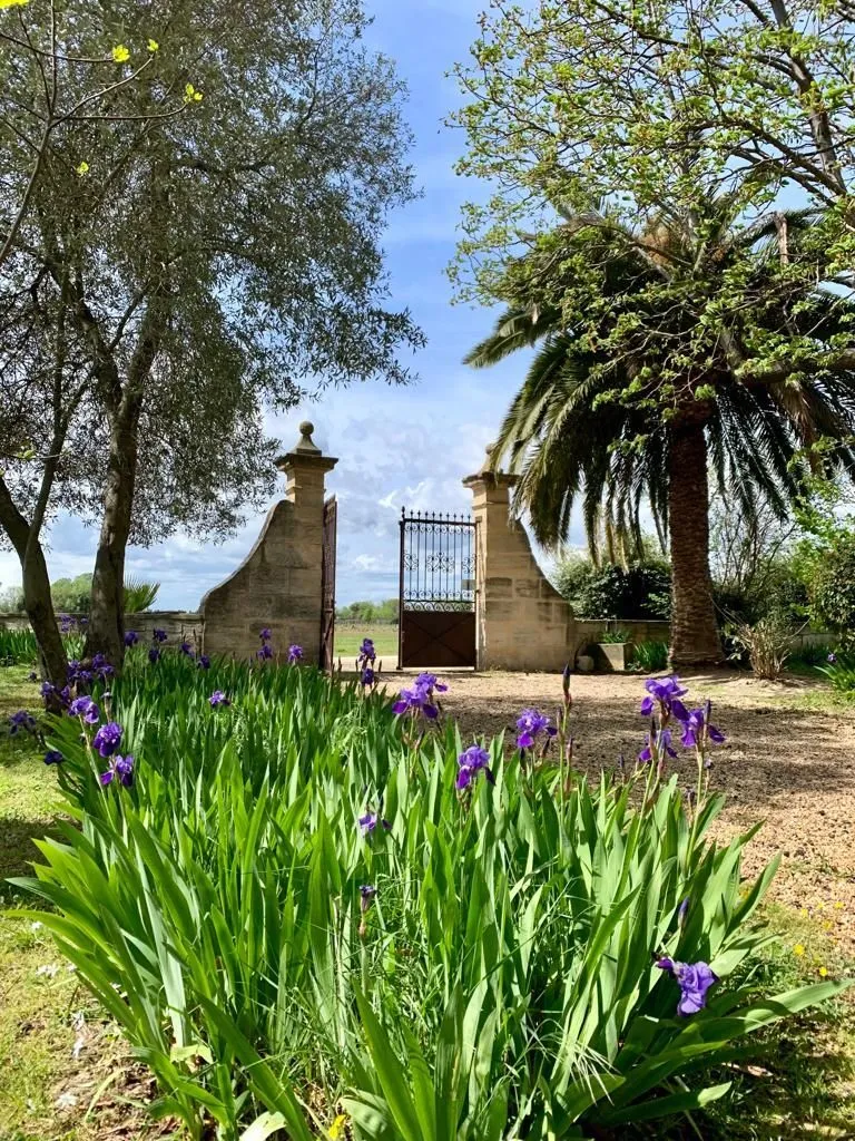Domaine Arbaud - cour et portail